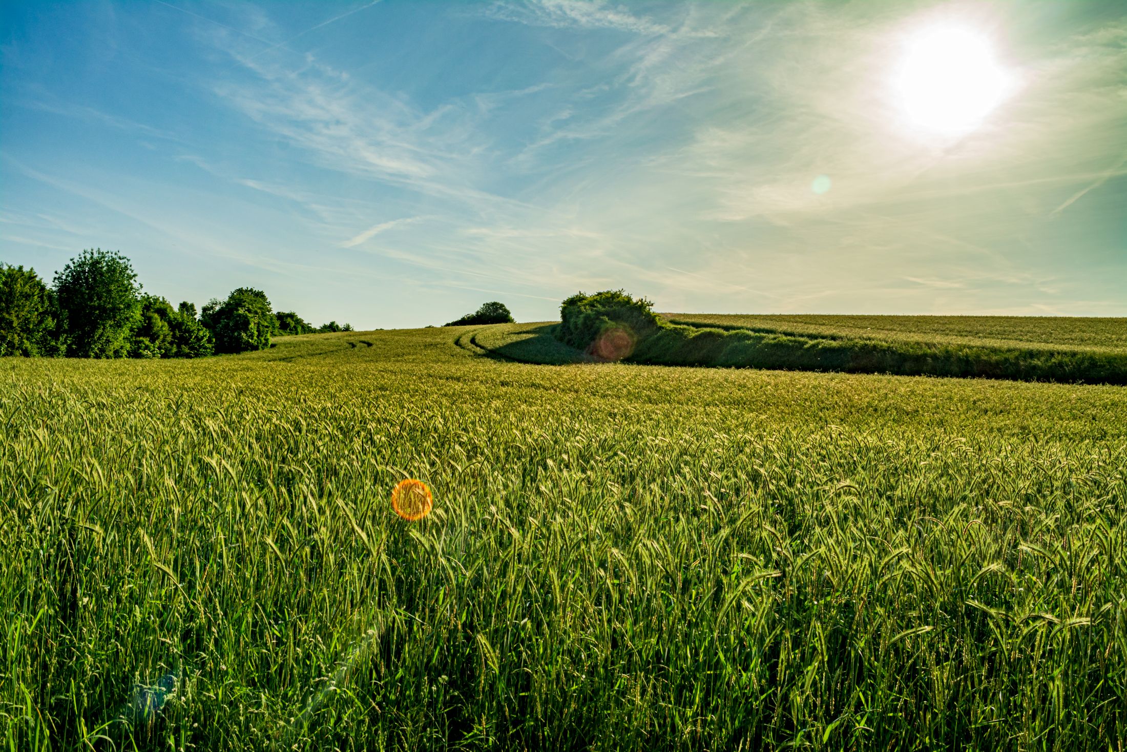 Hintergrund-Bild