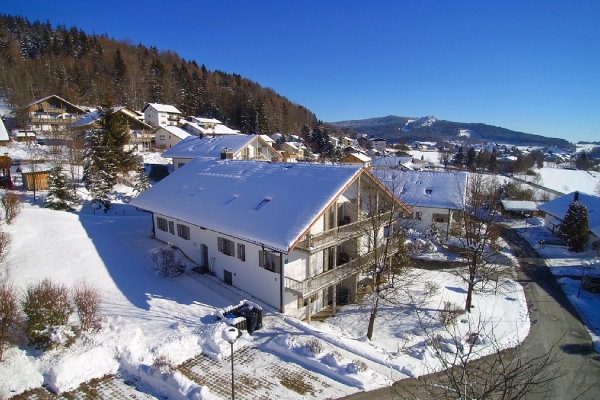 Apartment and Chalet 