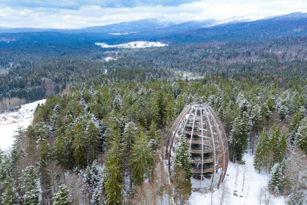 Baumwipfelpfad Bayerischer Wald © Erlebnis Akademie AG