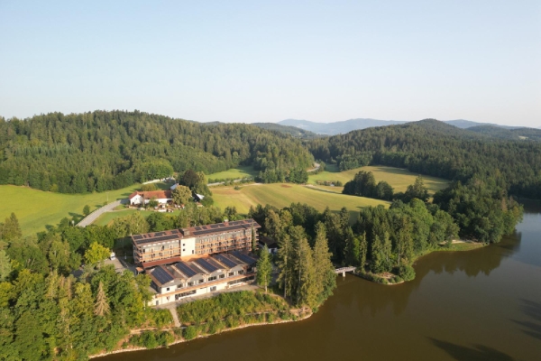 Apartment and Chalet 