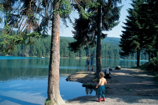 Landscape © TVB Harz Goslar