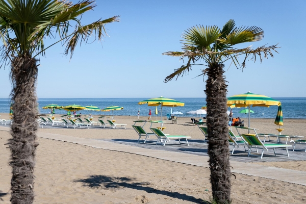 Apartment and Chalet 