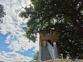 Apartment and Chalet 