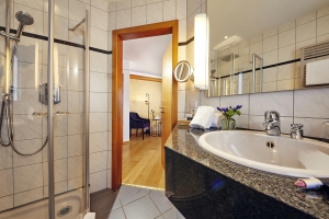 Apartment and Chalet 