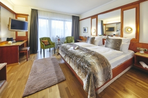 Apartment and Chalet 