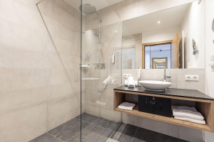 Apartment and Chalet 