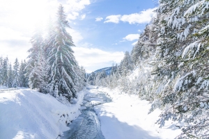 Landscape © Region Seefeld