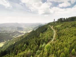 Landscape © Chris Keller/Schwarzwald Tourismus