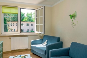 Apartment and Chalet 