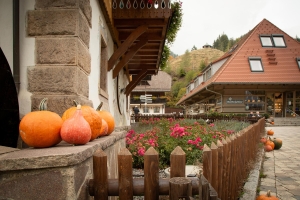 Apartment and Chalet 