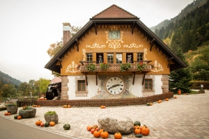 Apartment and Chalet 