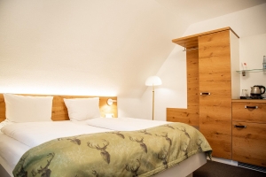 Apartment and Chalet 