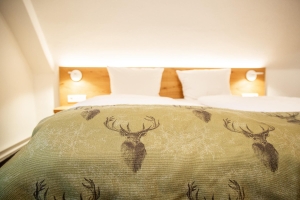 Apartment and Chalet 