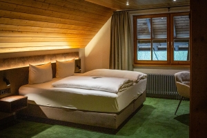 Apartment and Chalet 