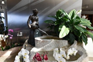 Apartment and Chalet 