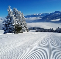 Miscellaneous © Bergbahnen Oberperfuss GmbH