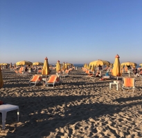 Landscape © Francesca Pasqualetti Landscape