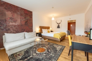 Apartment and Chalet 