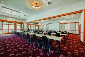 Conference Facilities 