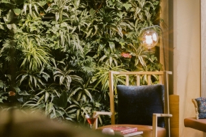 Reception & Lobby 