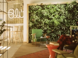 Reception & Lobby 