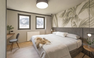 Apartment and Chalet 