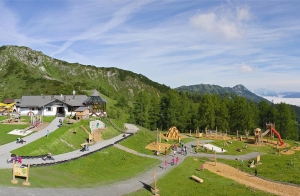Apartment and Chalet 