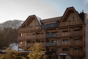 Apartment and Chalet 