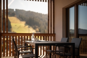 Apartment and Chalet 
