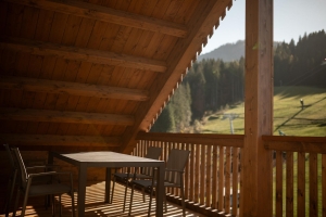 Apartment and Chalet 