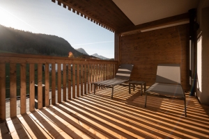 Apartment and Chalet 
