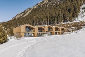 Apartment and Chalet 