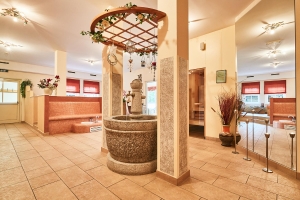 Spa and wellness 