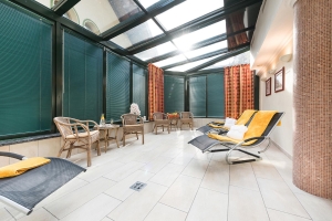Spa and Wellness 