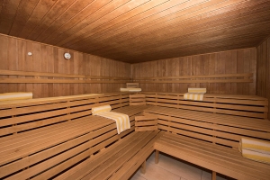 Spa and Wellness 