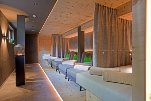 Spa and wellness 