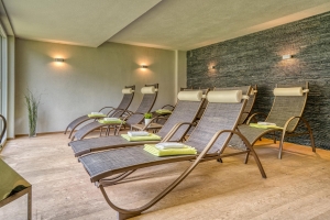 Apartment and Chalet 