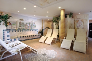 Spa and Wellness 