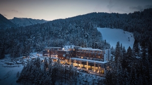 Apartment and Chalet 