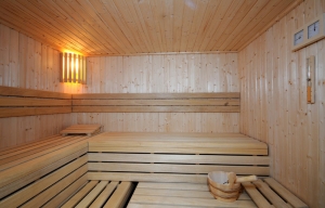 Spa and Wellness 