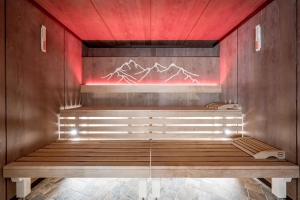Spa and Wellness 