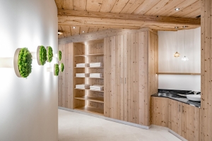 Spa and Wellness 