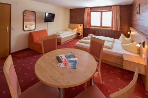 Apartment and Chalet 
