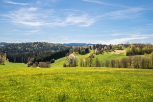General Impressions ©Depositphotos