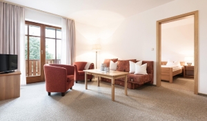 Apartment and Chalet 