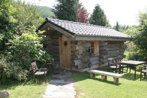 Spa and Wellness 