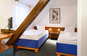 Apartment and Chalet 