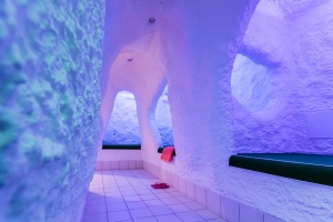 Spa and Wellness 