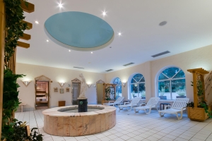 Spa and Wellness 