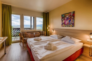 Apartment and Chalet 